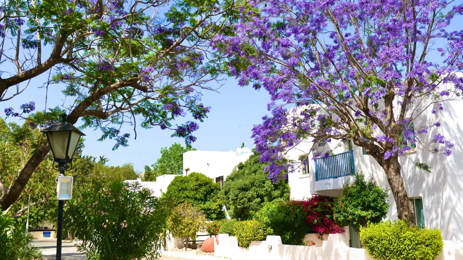 Paphos Gardens