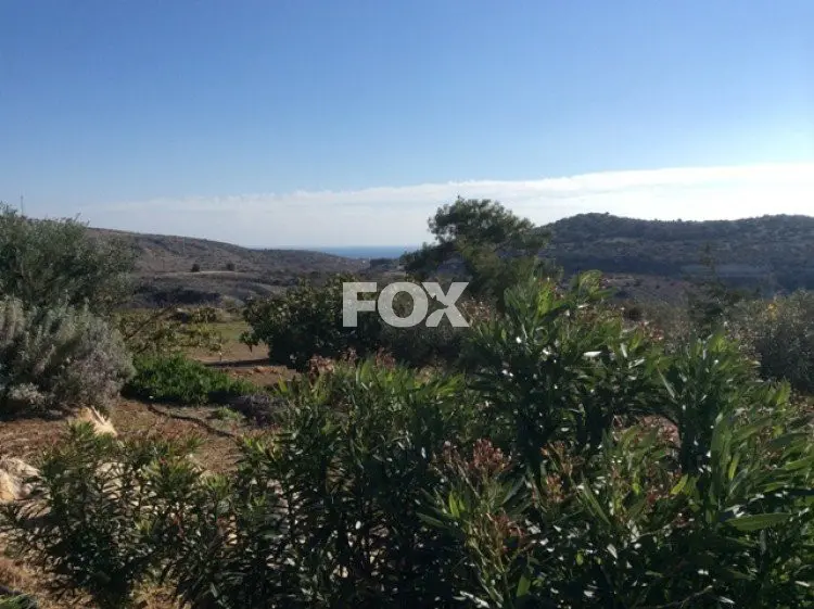 בית פרטי 5 חד׳ למכירה בפרקליסיה